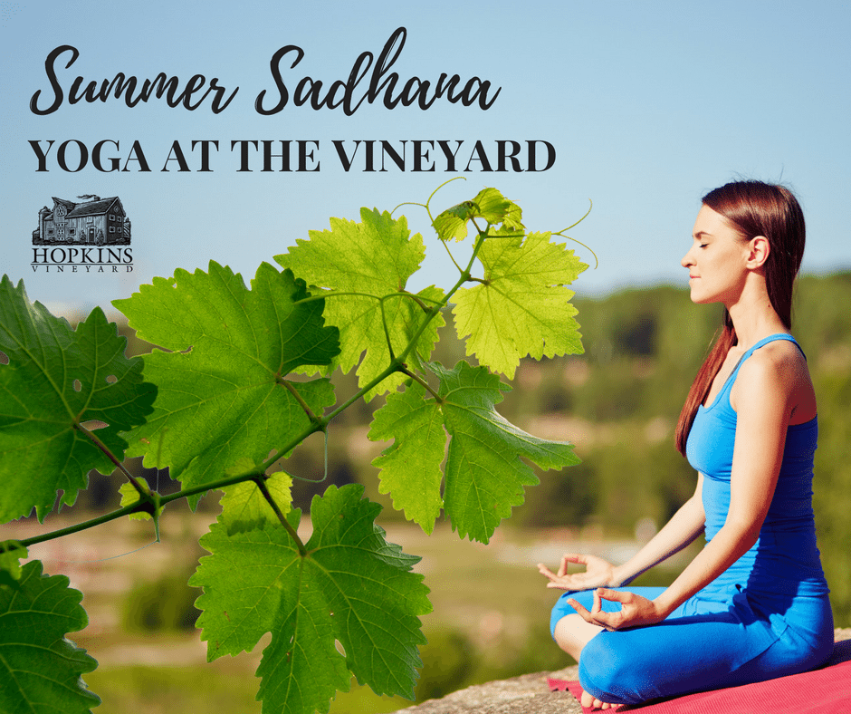 Summer-yoga-hopkins-vineyard