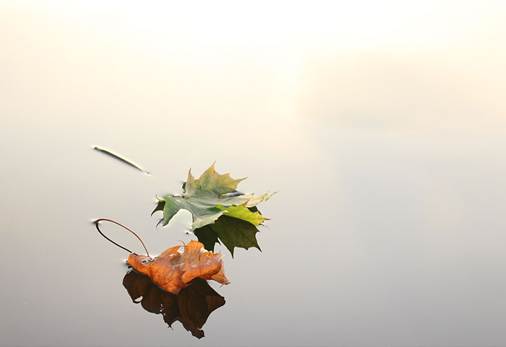 Calm and Clear: How to Meditate with Jampa Stewart