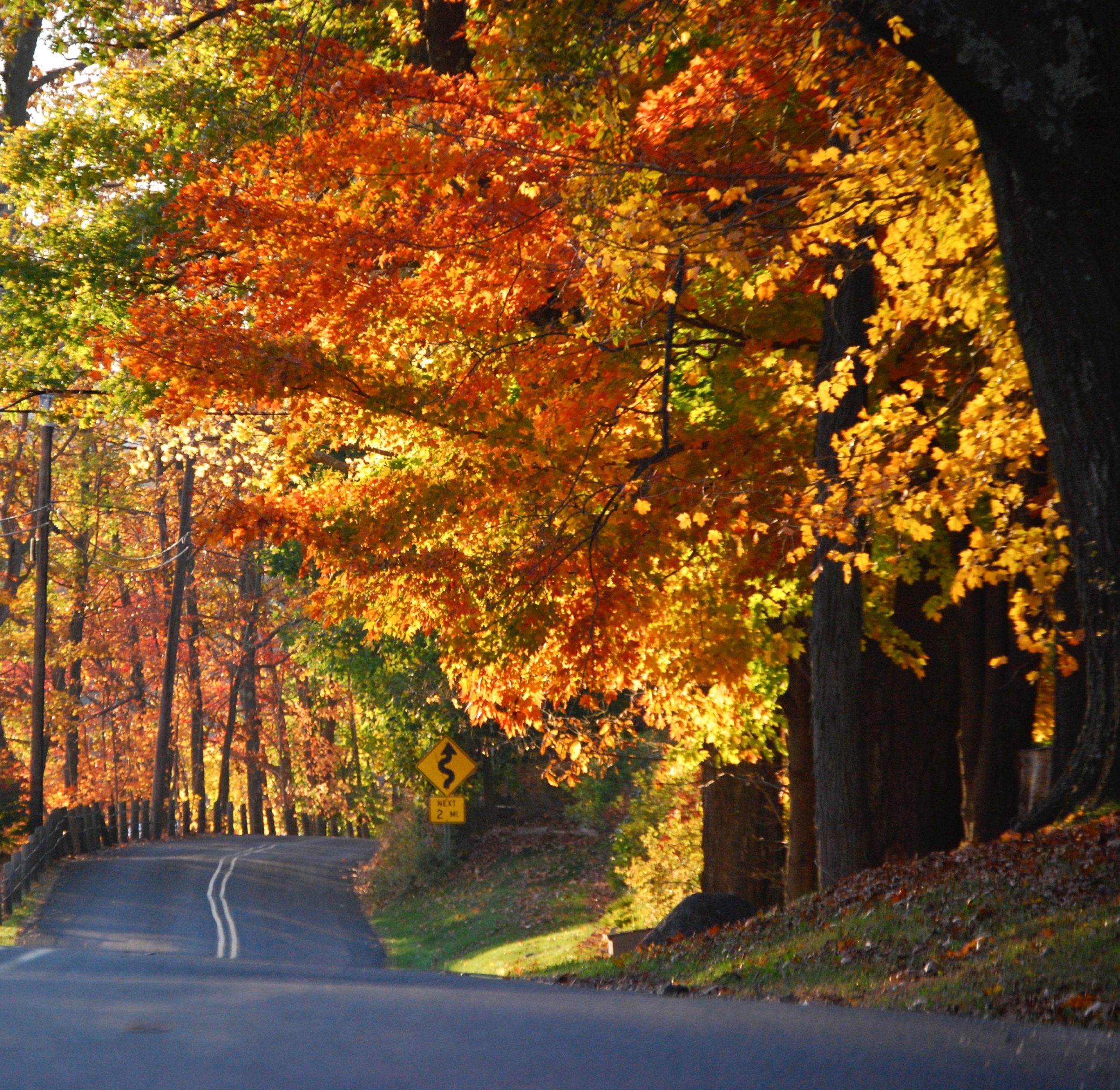 Guide to a Splendid Fall Foliage Getaway in Washington - Explore ...