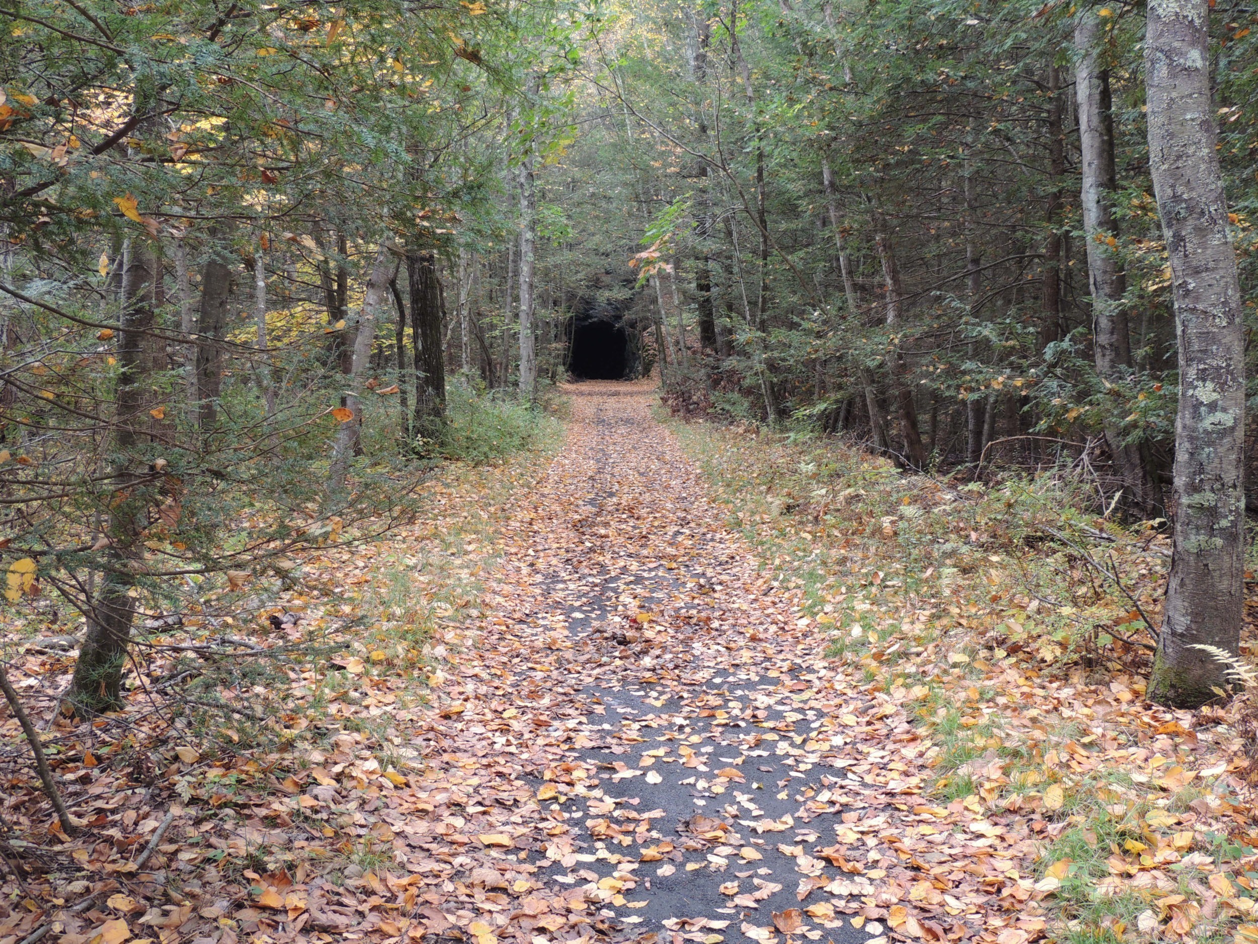 Tunnel Road Connector Hike Explore Washington CT