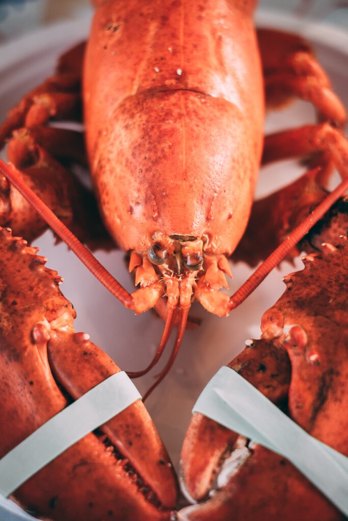 Annual memorial Day Lobster Sale Washington CT