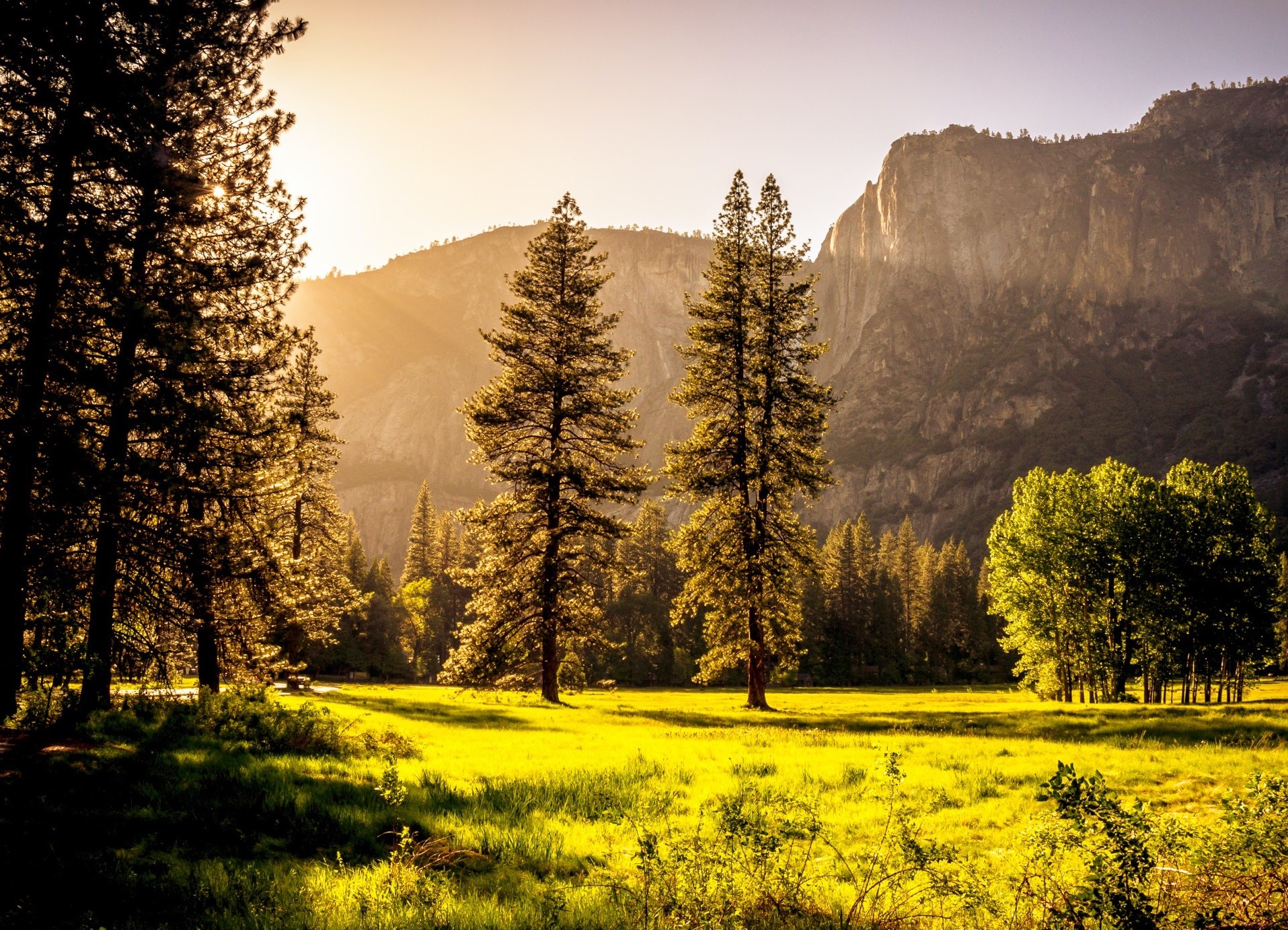Wildlife Terrariums Explore Washington CT