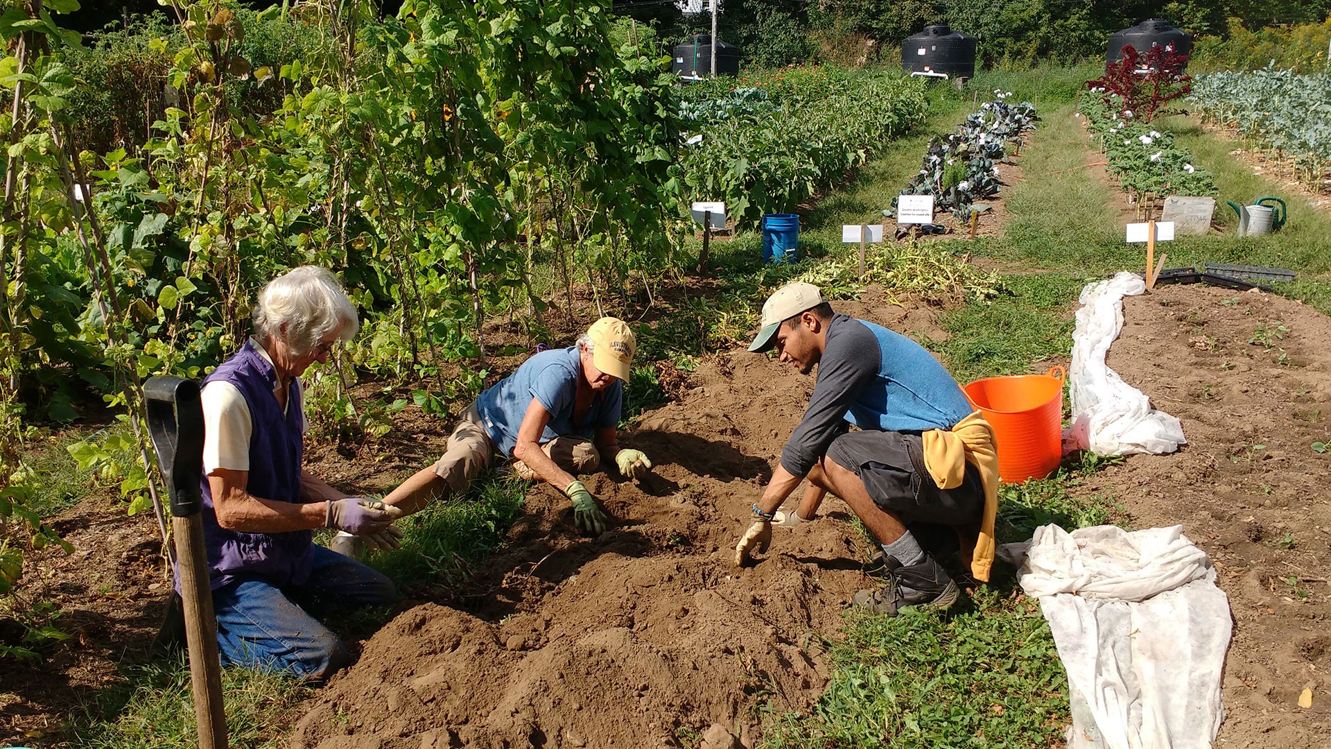 Spring Planting Day at Judea Garden Explore Washington CT