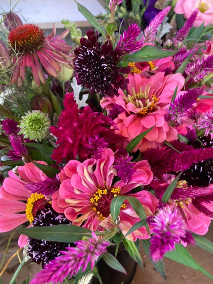 Everything Botanical flowers Explore Washington CT