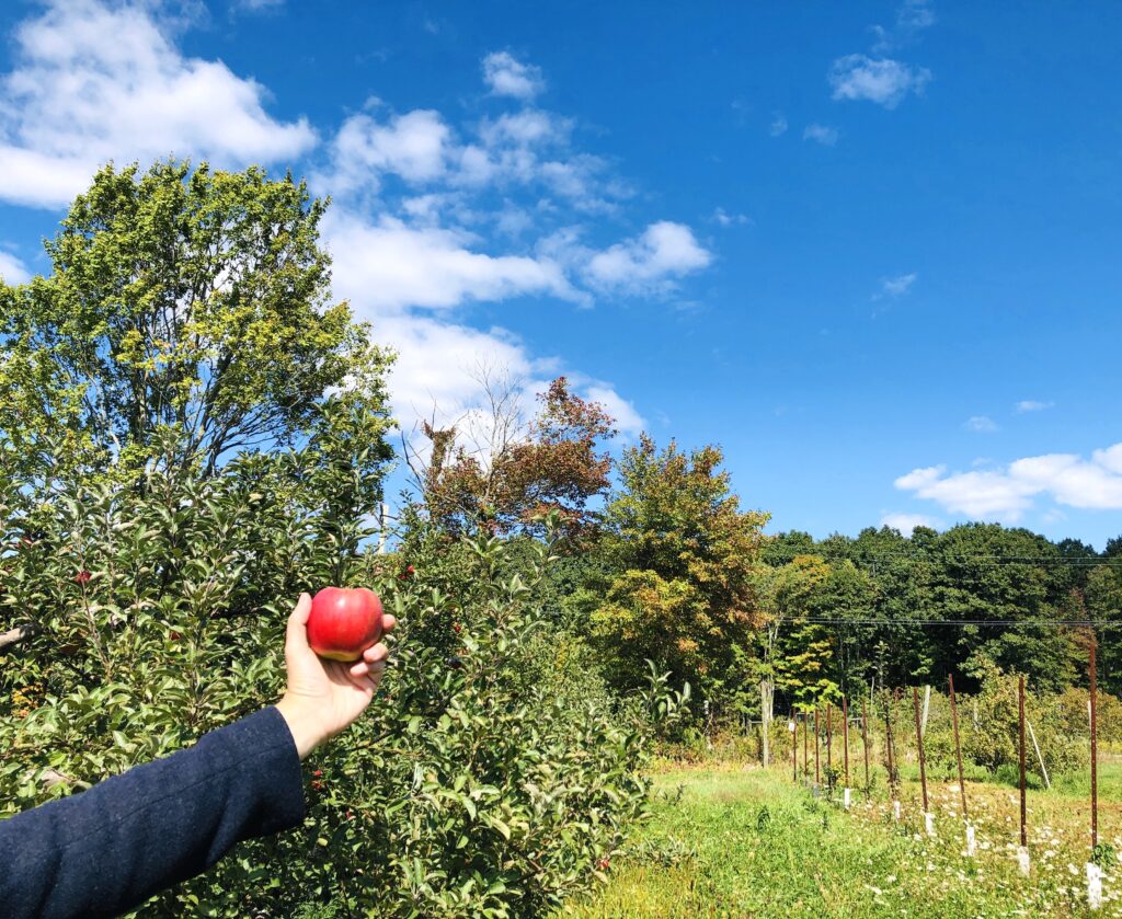 Explore the Local Farms of Washington Explore Washington CT